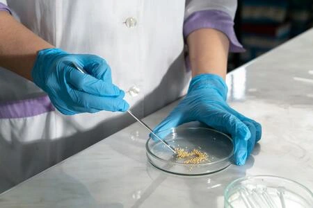 Tissue culture process in a laboratory using sterile glassware and growth media